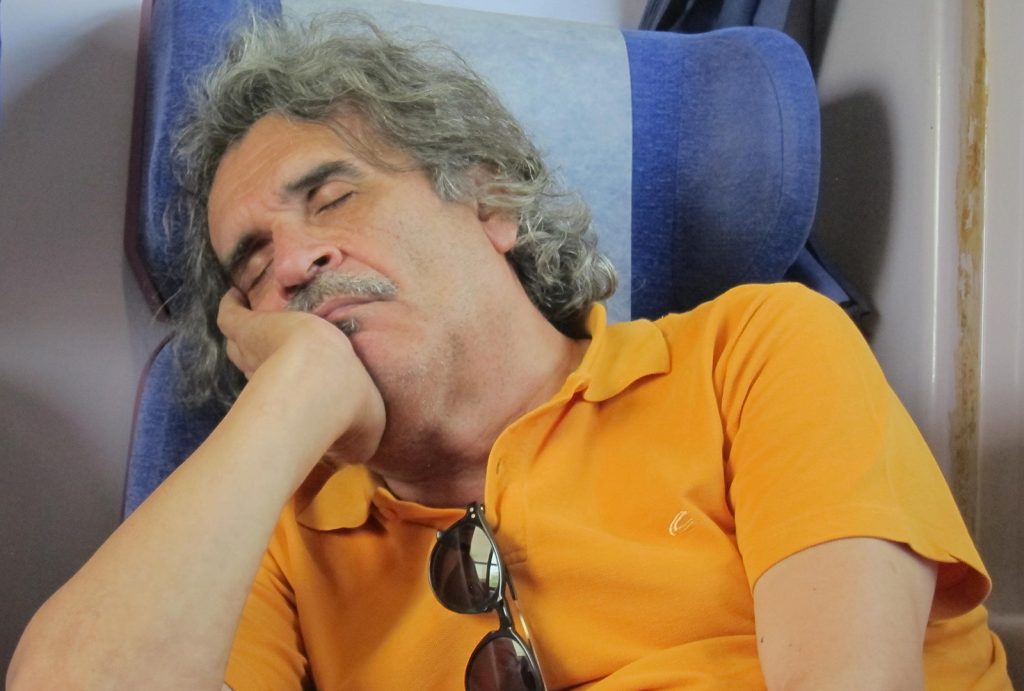 Einstein takes another nap on the train.