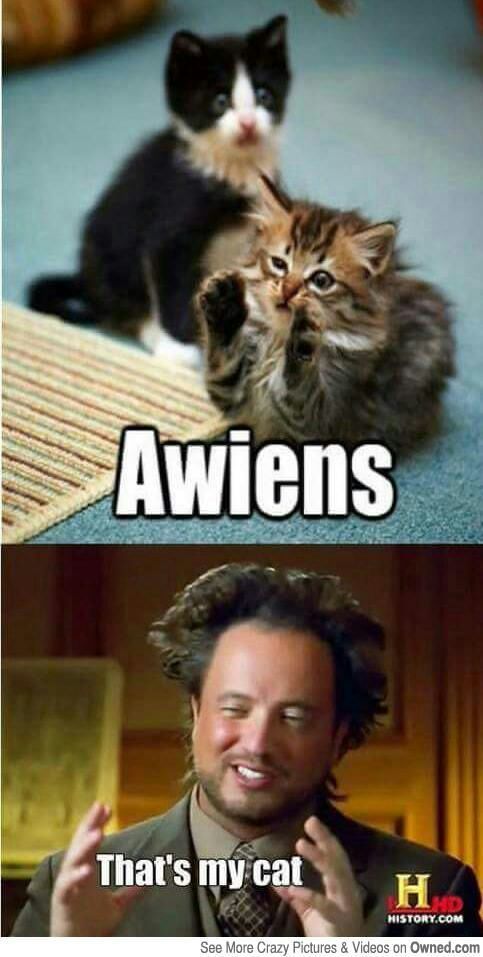 I'm not saying it was Aliens but… – Irene North
